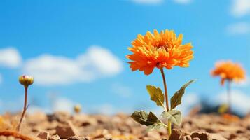 un Orange fleur est croissance en dehors de le sol génératif ai photo