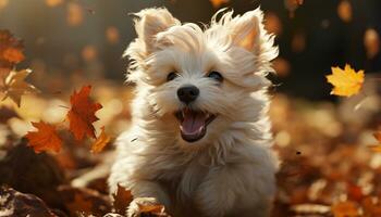 mignonne terrier chiot en jouant dans l'automne forêt, joyeux et content généré par ai photo