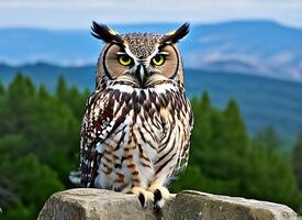 magnifique hibou photo - ai génératif