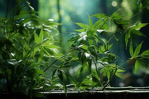 le vert bambou est balancement dans le vent. ai génératif photo