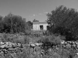 l'île d'ibiza photo