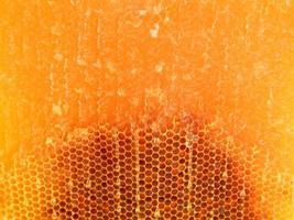 texture d'hexagone de fond, nid d'abeille de cire d'une ruche d'abeille