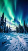 aurore borealis plus de couvert de neige paysage photo