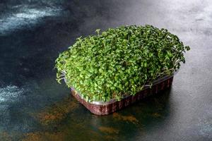 boîte avec des pousses fraîches de micro-radis verts pour ajouter des aliments sains aux plats photo