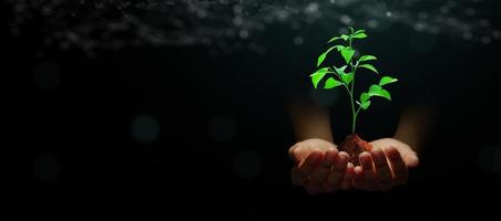 main tenant une jeune plante avec de la terre sur un fond vert abstrait avec une technologie filaire