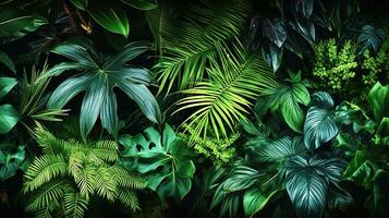 tropical forêt tropicale feuillage les plantes des buissons dans tropical jardin sur noir arrière-plan, vert panaché feuilles modèle la nature Cadre forêt, ai génératif photo