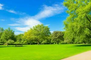 magnifique paysage parc avec des arbres et Soleil. coloré feuillage dans le parc. ai génératif pro photo