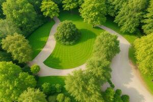 magnifique paysage parc avec des arbres et Soleil. coloré feuillage dans le parc. ai génératif pro photo