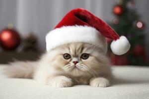 mignonne chat dans Père Noël claus chapeau, Noël vacances concept. génératif ai photo