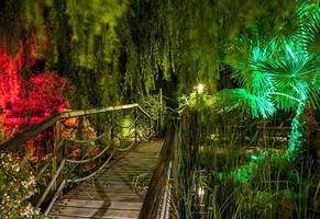 éclairage de jardin avec palmiers à murcie, espagne photo