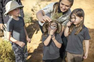 les enfants avec prof examiner plante avec grossissant verre photo