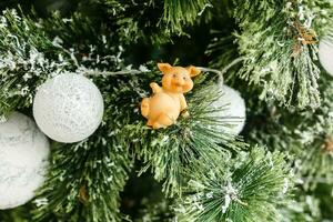joyeux Noël et content Nouveau an. jouet porc dans le branches de épicéa. Contexte avec copie espace. sélectif se concentrer. photo