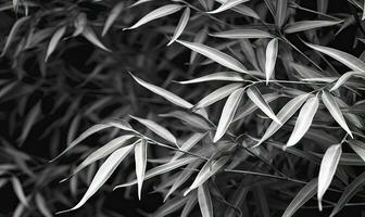 feuilles dans le nuit lumière texturé fond d'écran. forêt bambou dans nuit vision mode Contexte. pour bannière carte postale, livre illustration. établi avec génératif ai outils photo