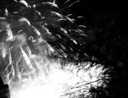 éclater des feux d'artifice colorés dans le ciel sombre de la nuit photo