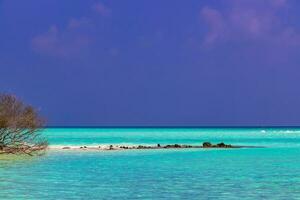 îles de banc de sable turquoise tropicales naturelles madivaru finolhu atoll rasdhoo maldives. photo