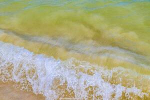 vagues à la plage tropicale mer des caraïbes eau turquoise claire mexique. photo