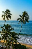 magnifique paradis tropical plage vagues paumes Mirissa plage sri lanka. photo