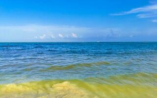 plage mexicaine tropicale eau turquoise claire playa del carmen mexique. photo