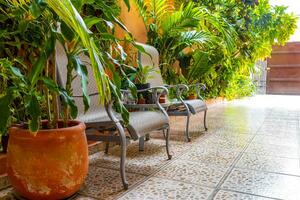 Royal argent chaises dans tropical exotique jardin dans Mexique. photo