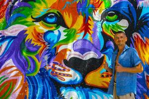 artistique des murs Lion peintures et graffiti playa del Carmen Mexique. photo