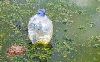 sale vert pollué et rivière d'ordures à puerto escondido mexique. photo