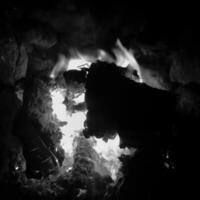 magnifique flamme marron bois foncé noir charbon photo