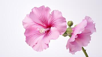 photo de magnifique trémière fleur isolé sur blanc Contexte. génératif ai