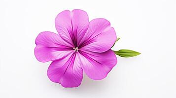 photo de magnifique phlox fleur isolé sur blanc Contexte. génératif ai