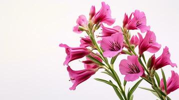 photo de magnifique Penstemon fleur isolé sur blanc Contexte. génératif ai