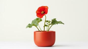 photo de coquelicot fleur dans pot isolé sur blanc Contexte. génératif ai