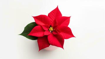 photo de poinsettia fleur dans pot isolé sur blanc Contexte. génératif ai