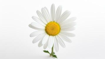 photo de magnifique Marguerite fleur isolé sur blanc Contexte. génératif ai