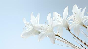 photo de magnifique yucca fleur isolé sur blanc Contexte. génératif ai