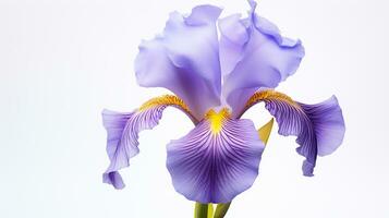 photo de magnifique iris fleur isolé sur blanc Contexte. génératif ai