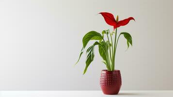 photo de jack-in-the-pulpi fleur dans pot isolé sur blanc Contexte. génératif ai