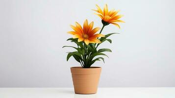 photo de gazania fleur dans pot isolé sur blanc Contexte. génératif ai