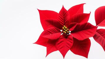 photo de magnifique poinsettia fleur isolé sur blanc Contexte. génératif ai