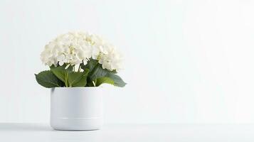 photo de hortensia fleur dans pot isolé sur blanc Contexte. génératif ai