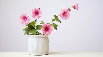 photo de trémière fleur dans pot isolé sur blanc Contexte. génératif ai