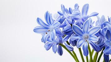 photo de magnifique squille fleur isolé sur blanc Contexte. génératif ai