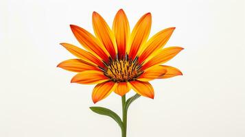 photo de magnifique gazania fleur isolé sur blanc Contexte. génératif ai