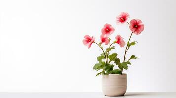 photo de trémière fleur dans pot isolé sur blanc Contexte. génératif ai