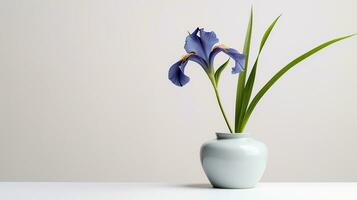 photo de iris fleur dans pot isolé sur blanc Contexte. génératif ai