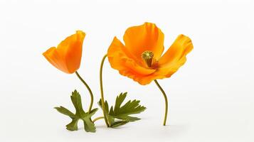 photo de magnifique calendula fleur isolé sur blanc Contexte. génératif ai