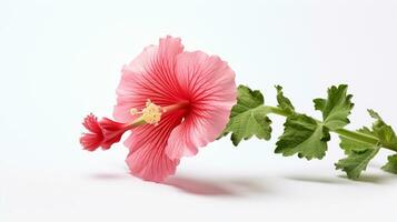 photo de magnifique trémière fleur isolé sur blanc Contexte. génératif ai