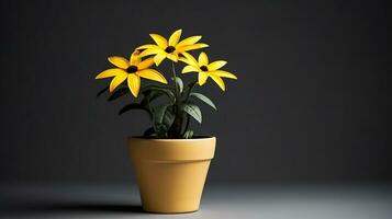 photo de Rudbeckia fleur dans pot isolé sur blanc Contexte. génératif ai