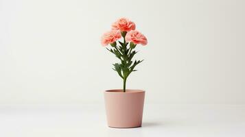 photo de œillet fleur dans pot isolé sur blanc Contexte. génératif ai