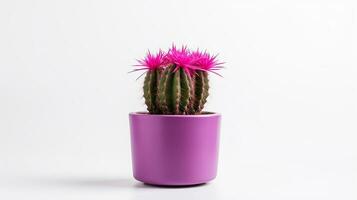 photo de cactus fleur fleur isolé sur blanc Contexte. génératif ai