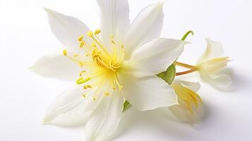 photo de magnifique ancolie fleur isolé sur blanc Contexte. génératif ai