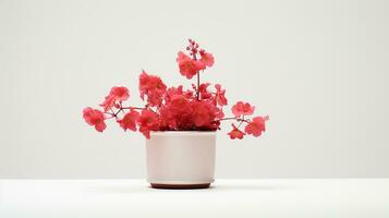 photo de heuchera fleur dans pot isolé sur blanc Contexte. génératif ai